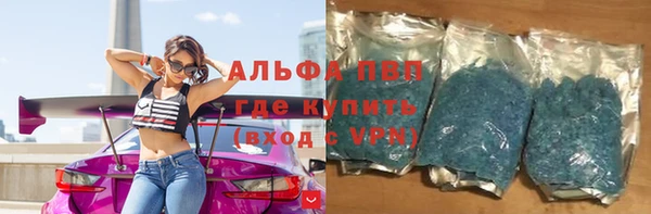 твердый Новозыбков