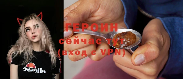 твердый Новозыбков