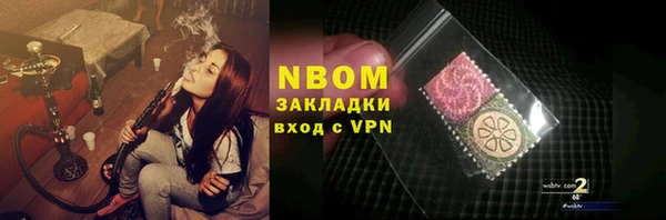 твердый Новозыбков