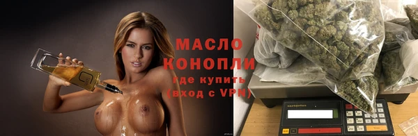 соль ск Новодвинск