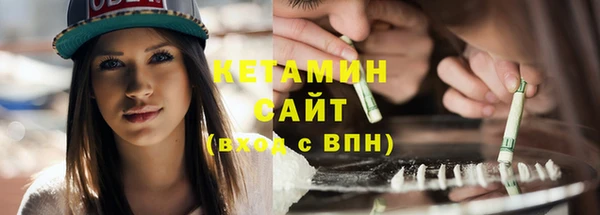 твердый Новозыбков