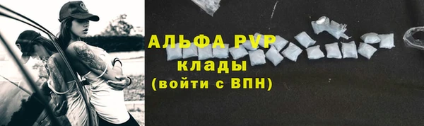 твердый Новозыбков