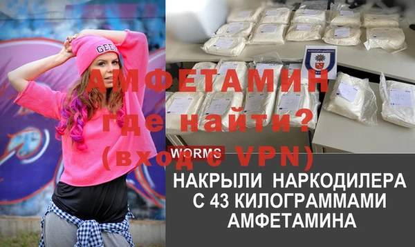 твердый Новозыбков