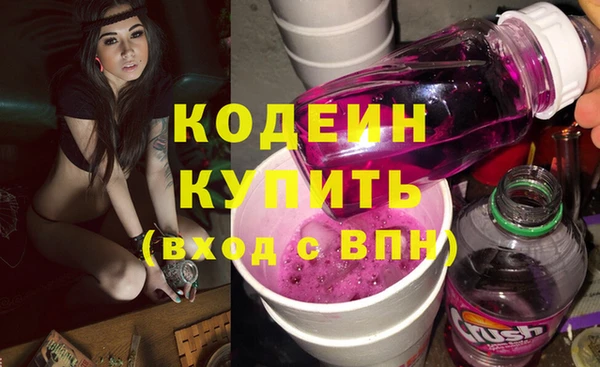 твердый Новозыбков