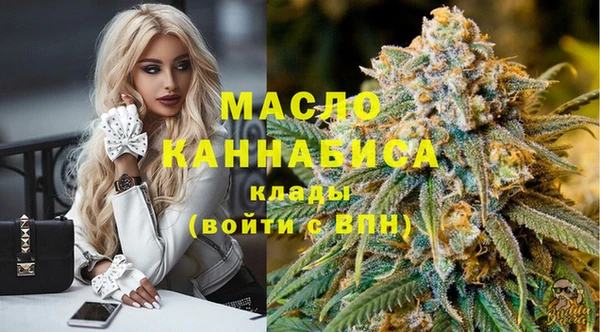твердый Новозыбков