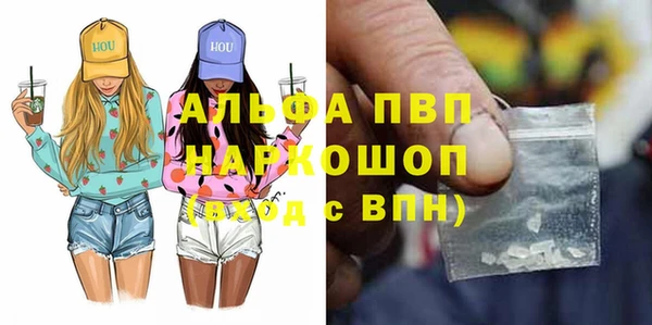 твердый Новозыбков
