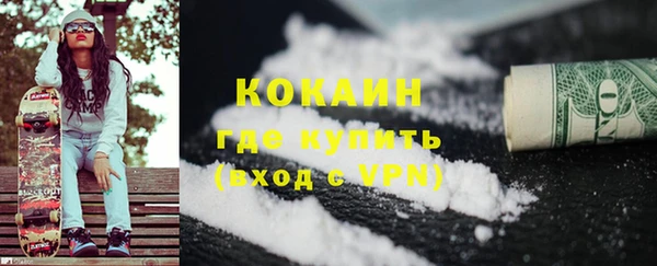твердый Новозыбков