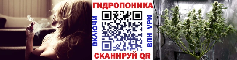 купить наркотик  Яровое  блэк спрут вход  Каннабис Amnesia 